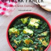palak paneer in a bowl with salad and naan on the side