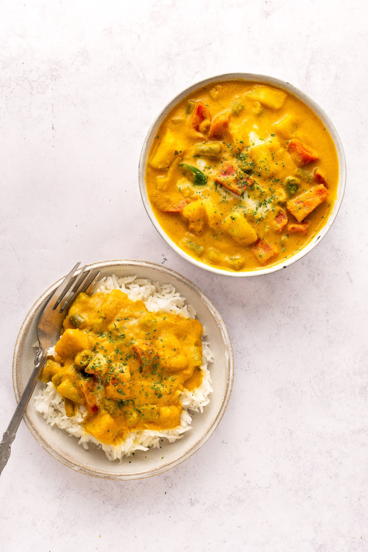 vegetable korma and rice in a plate