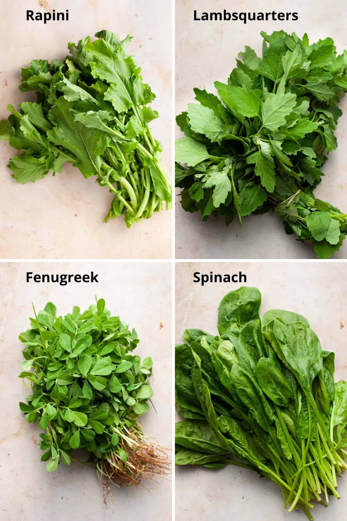 Four bunches of fresh greens for making sarson ka saag - rapini, lambsquarters, fenugreek, and spinach.